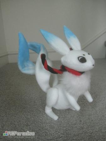  Photo 8