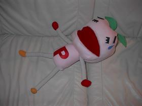 Photo 12