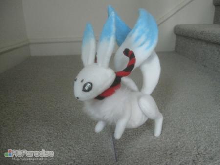  Photo 6