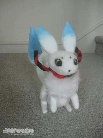  Photo 7
