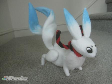  Photo 10