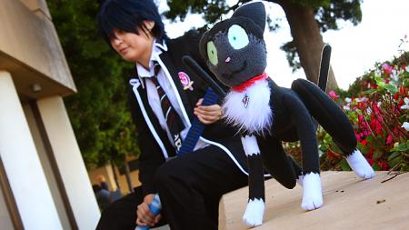  Photo 10