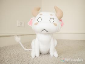  Photo 12
