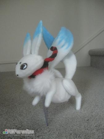  Photo 4