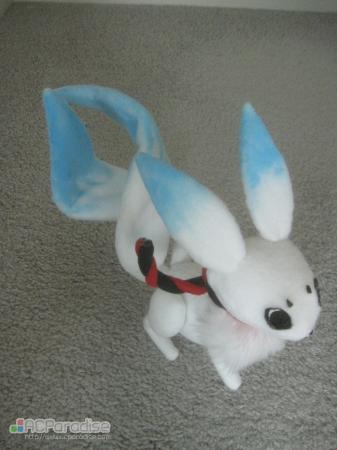  Photo 9