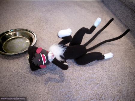  Photo 24