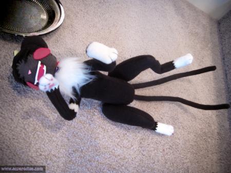  Photo 22