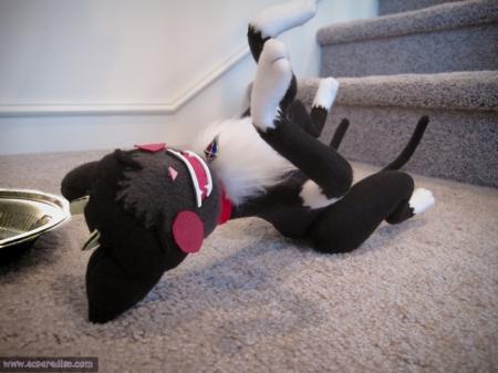  Photo 25
