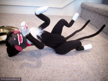  Photo 23