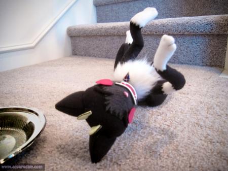  Photo 21