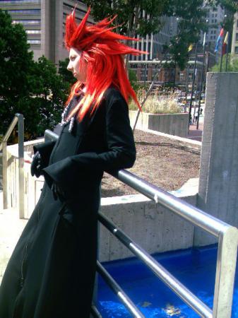  Photo 4