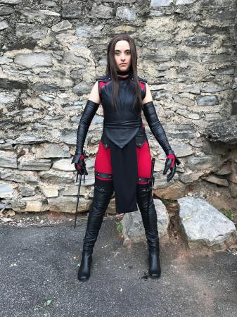 Elektra Natchios from Daredevil