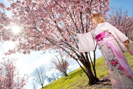 Sakura from Tsubasa: Reservoir Chronicle 