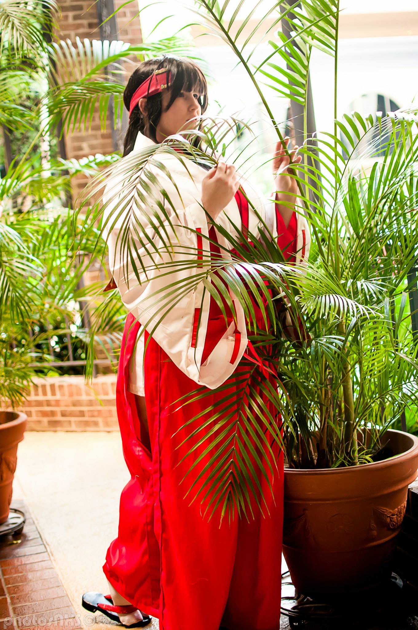 Newest Photo - Click for More!