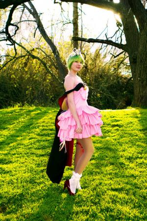  Photo 12