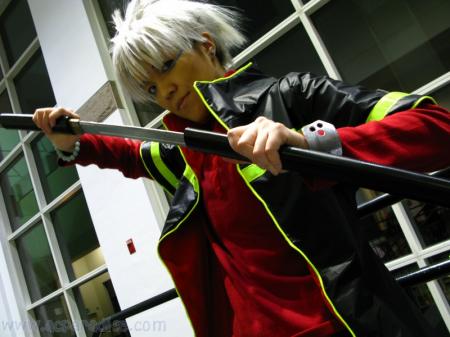  Photo 4