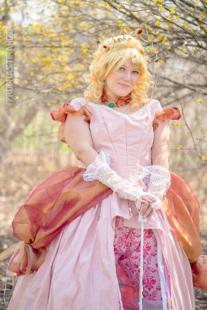 Princess Peach Toadstool from Super Mario Brothers Series