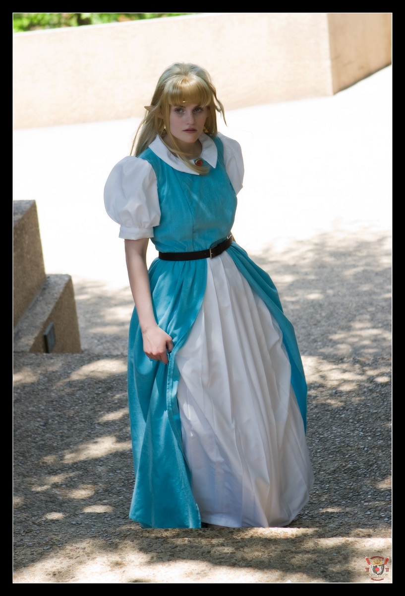 Get Ready to Cosplay: Zelda Princess Costumes from A Link to the