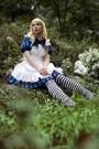 Alice from Alice in Wonderland worn by Dandelionswish