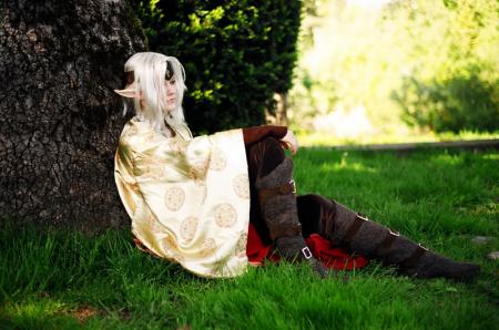Elven Lord from Original:  Fantasy