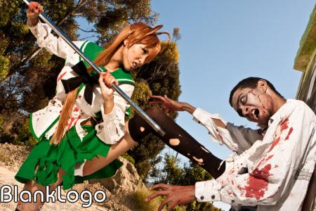 Miyamoto Rei from Highschool of the Dead