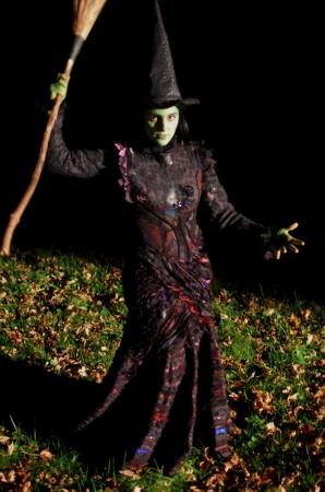 Elphaba (Wicked the Musical) by LadyAmaryllis | ACParadise.com