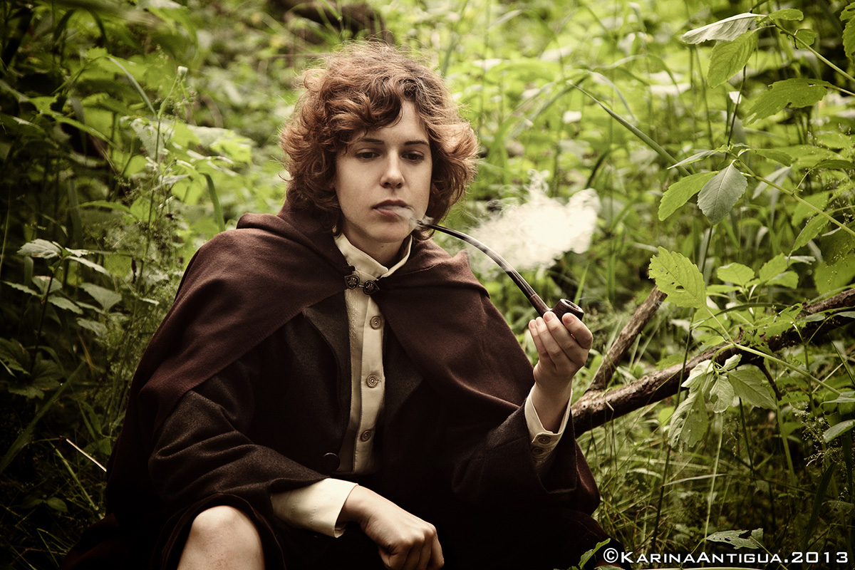 Peregrin Took (Lord of the Rings) by Blanko | ACParadise.com