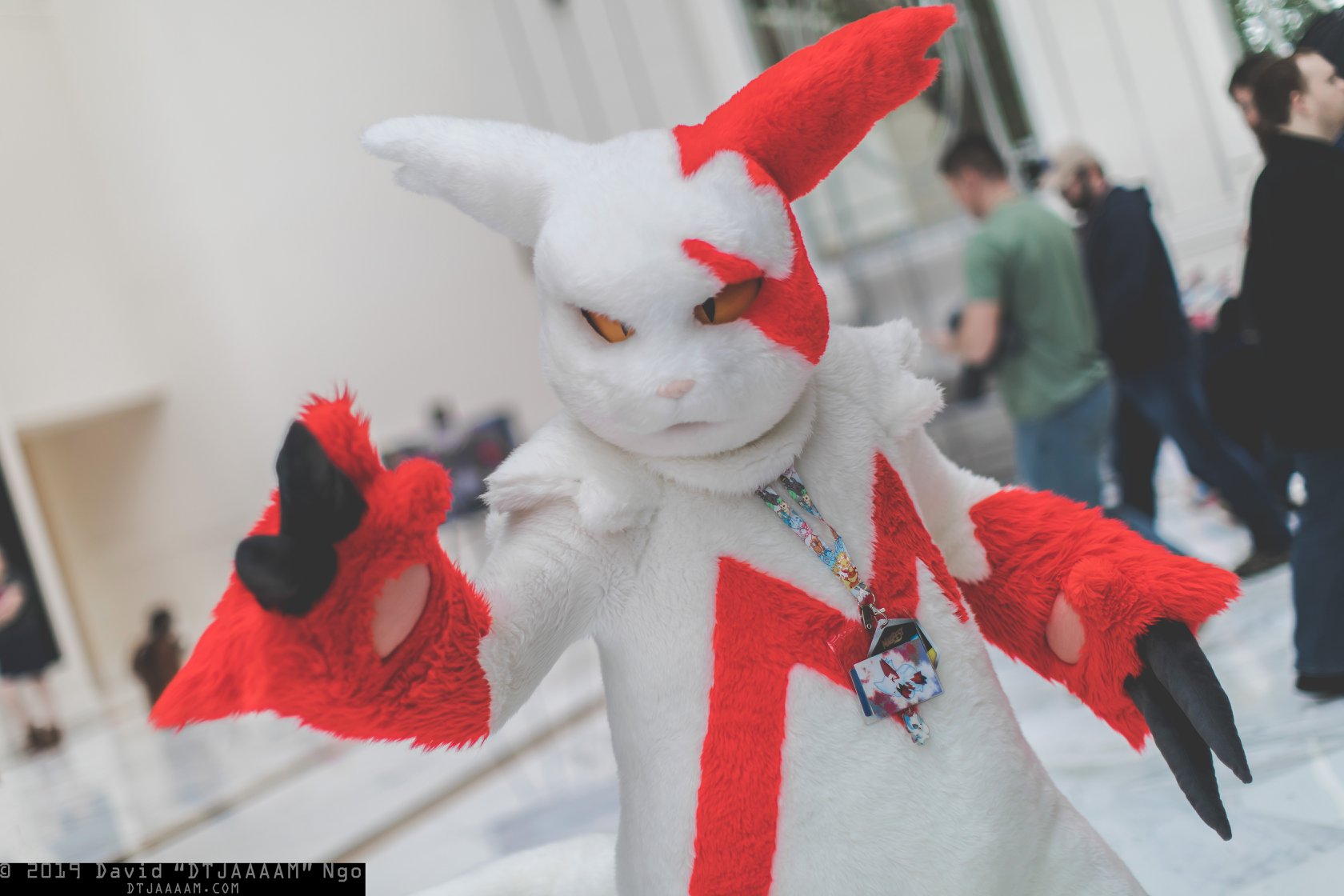 pokemon zangoose plush