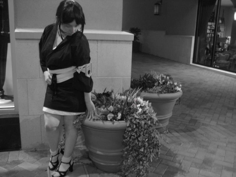 Newest Photo - Click for More!