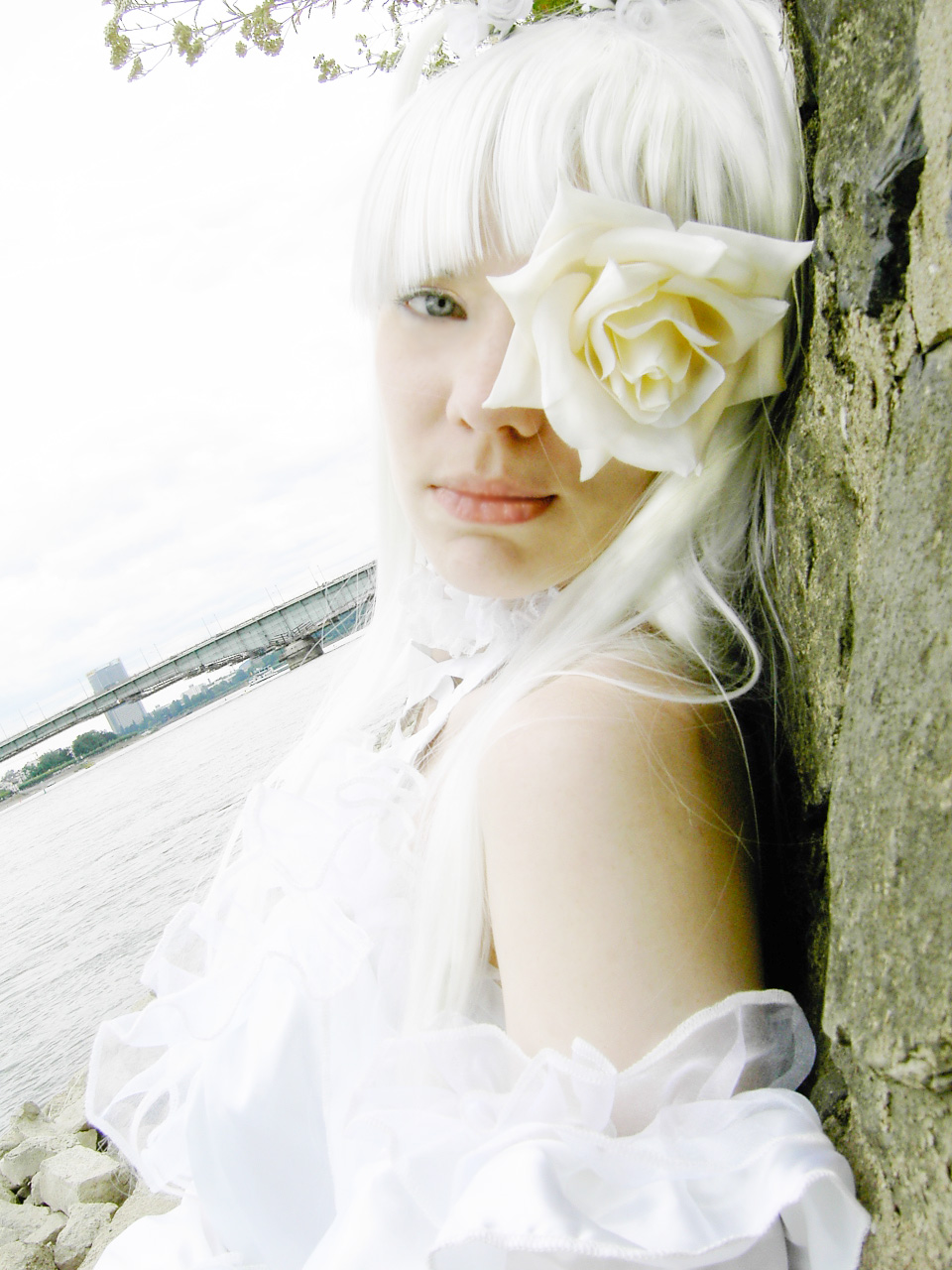 Newest Photo - Click for More!