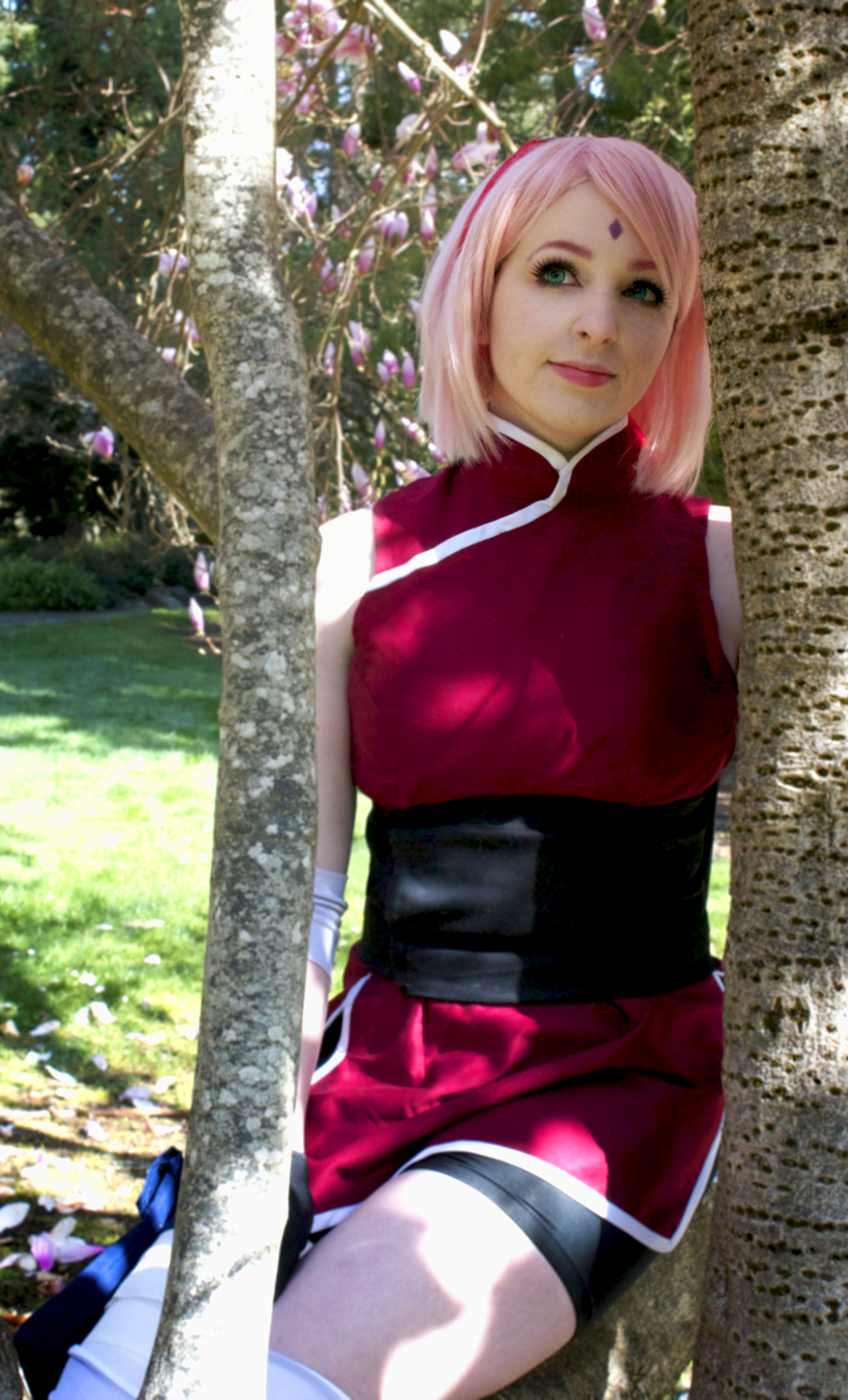 Sakura Haruno (Naruto) by shannuckles | ACParadise.com