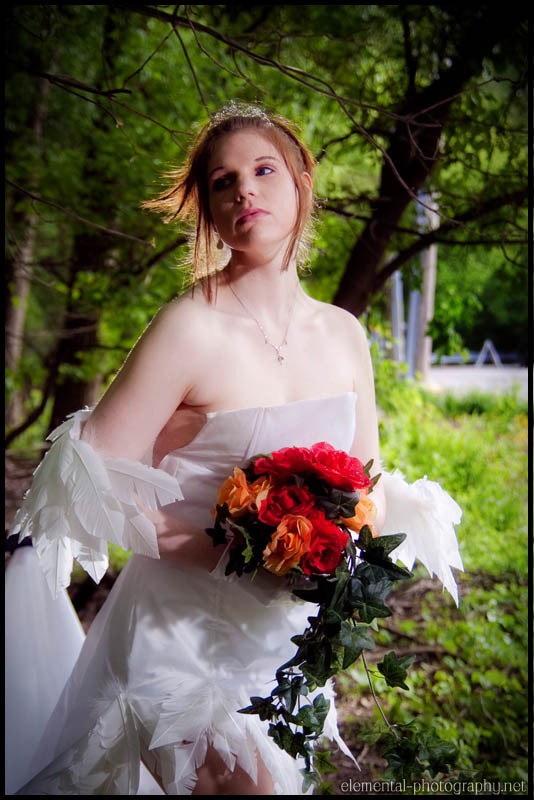 Newest Photo - Click for More!