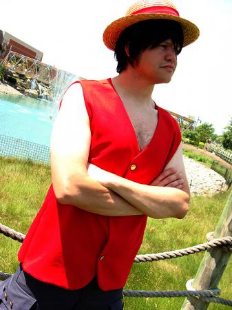 Monkey D. Luffy from One Piece worn by t3h_awesome