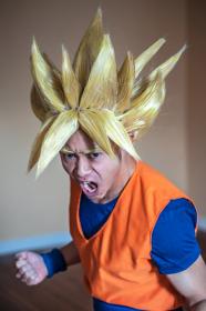 Goku from Dragonball Z