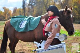 Mikasa Ackerman from Attack on Titan