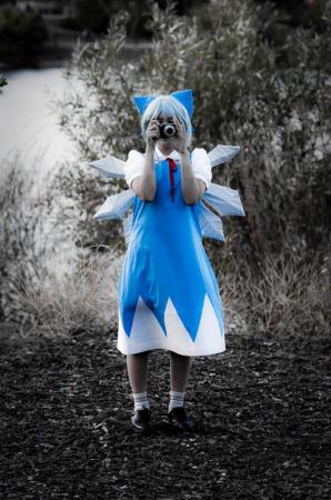 Cirno from Touhou Project