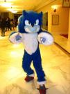 Sonic the Werehog from Sonic the Hedgehog Series
