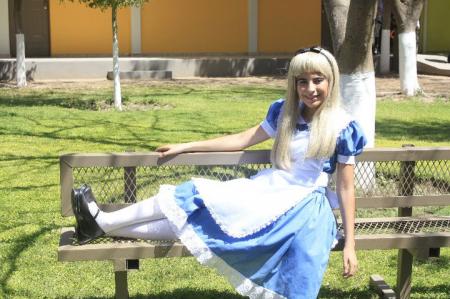  Photo 4