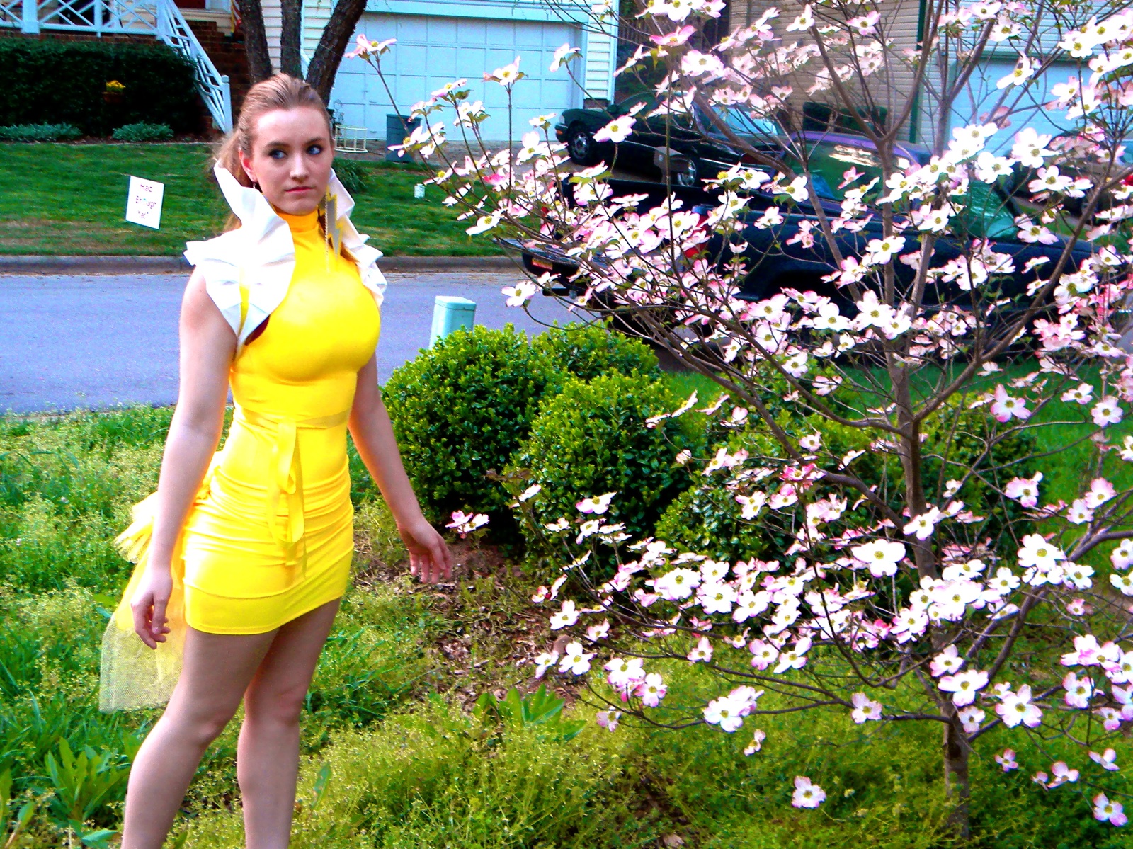 Newest Photo - Click for More!