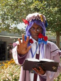 Patchouli Knowledge from Touhou Project