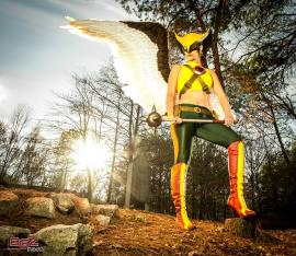 Hawkgirl from DC Comics
