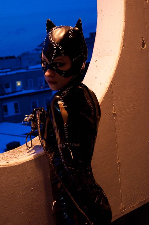 Catwoman (Batman) by Aelynn | ACParadise.com