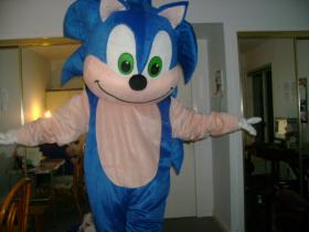 Sonic the Hedgehog from Sonic the Hedgehog Series worn by Surferbrg