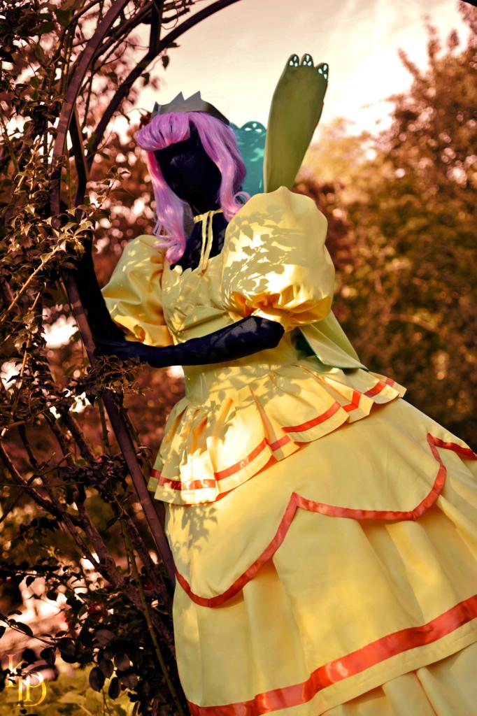 Newest Photo - Click for More!