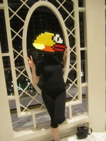 Flappy Bird from Flappy Bird worn by Liebs
