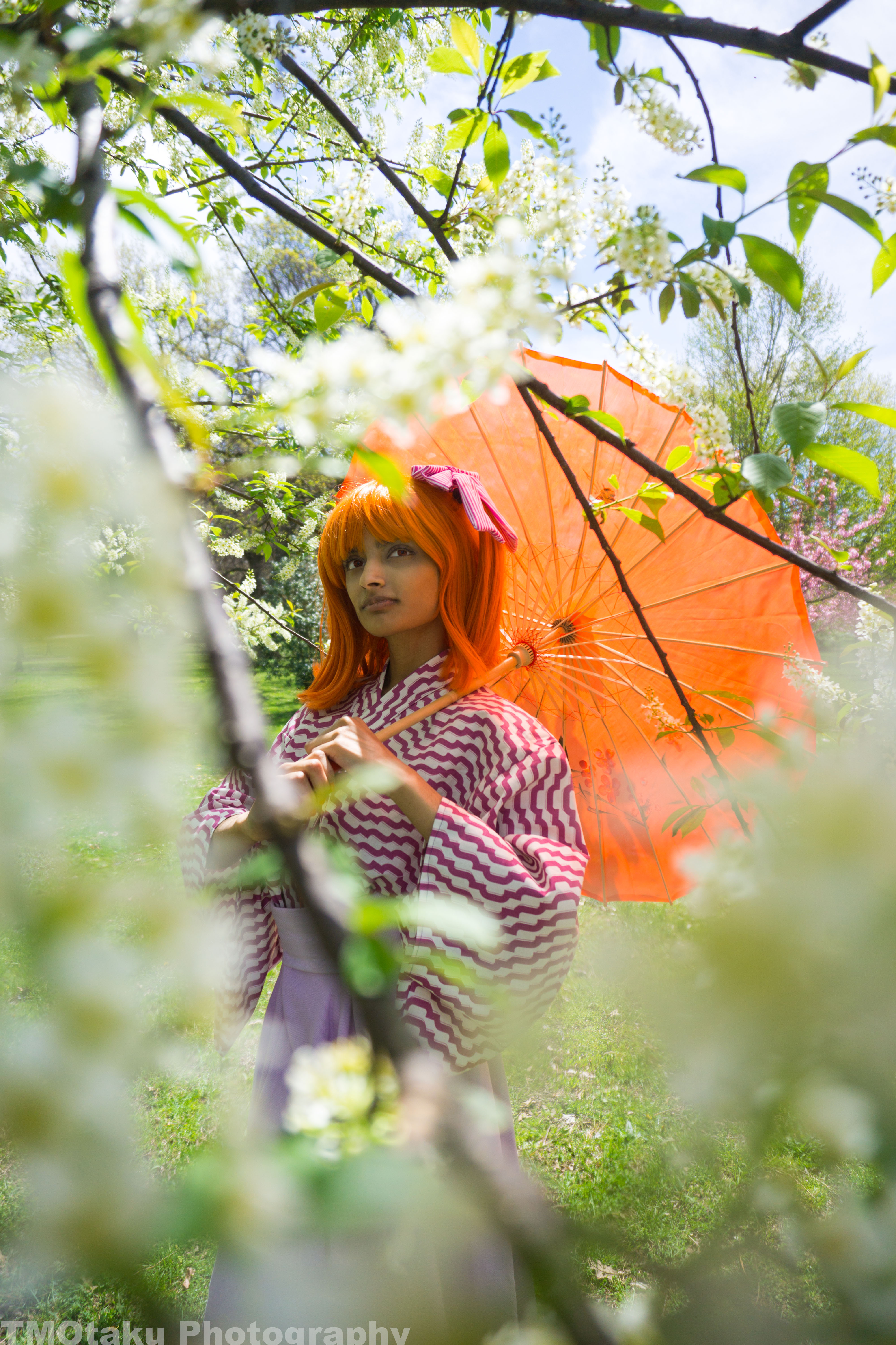 Newest Photo - Click for More!