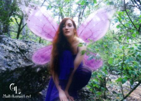 Fairy from Original:  Fantasy worn by Jadzia