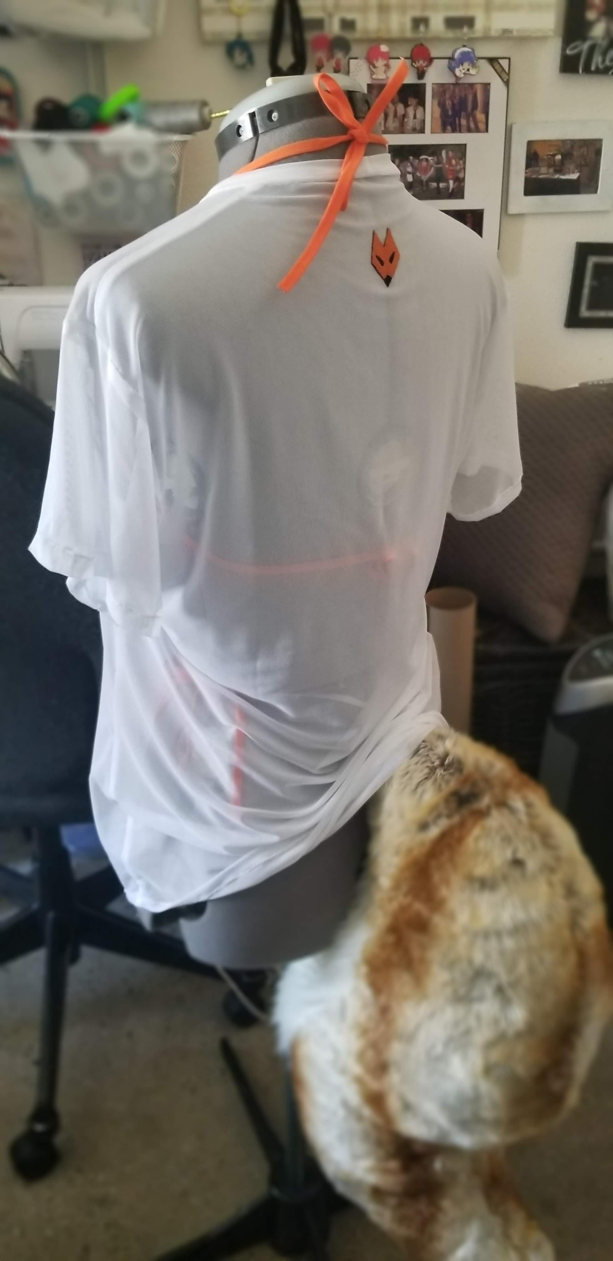 Newest Photo - Click for More!