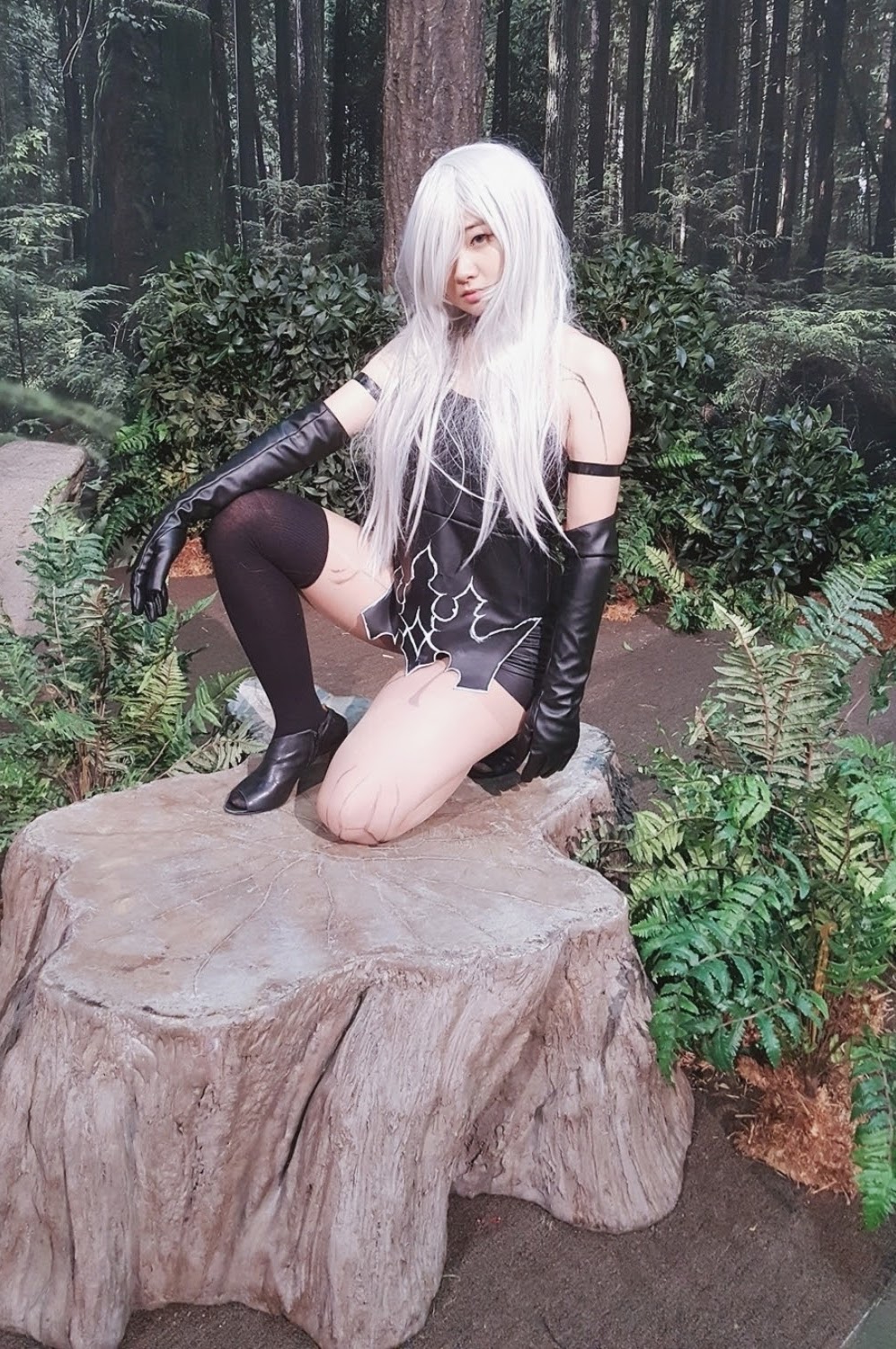 Newest Photo - Click for More!